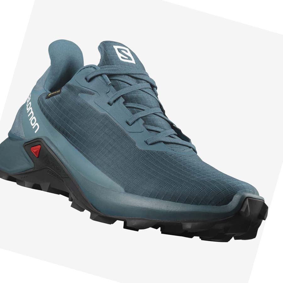 Salomon ALPHACROSS 3 GORE-TEX Erkek Patika Koşu Ayakkabısı Mavi | TR 3538QMA